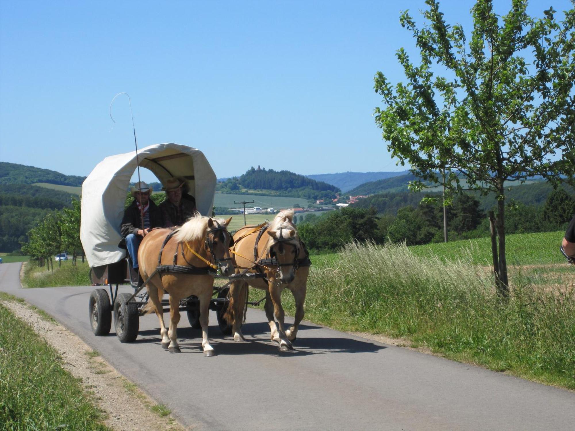 Urlaubspension 'Hohes Rott' und Apartmenthaus Heiligenstadt Exterior foto